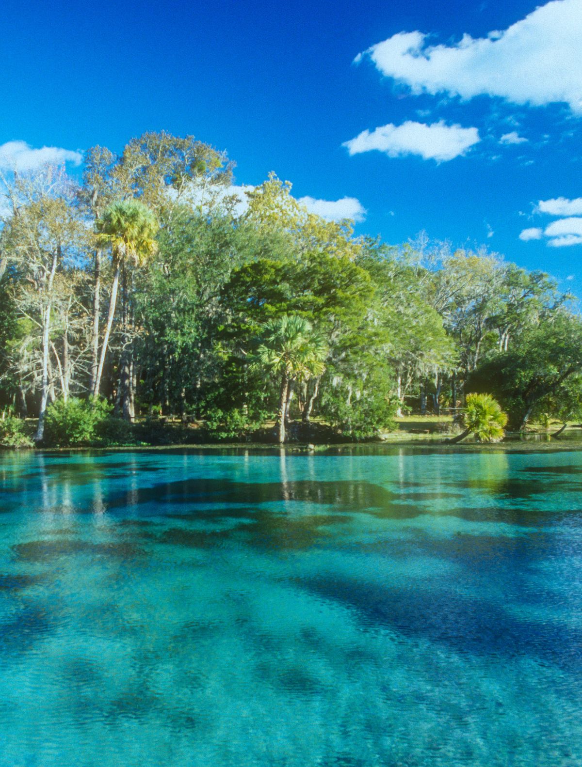 2 springs in florida